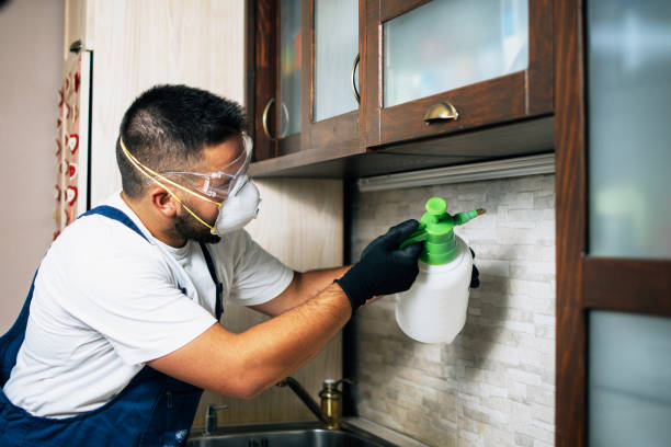 Pest Prevention Services in Cayce, SC