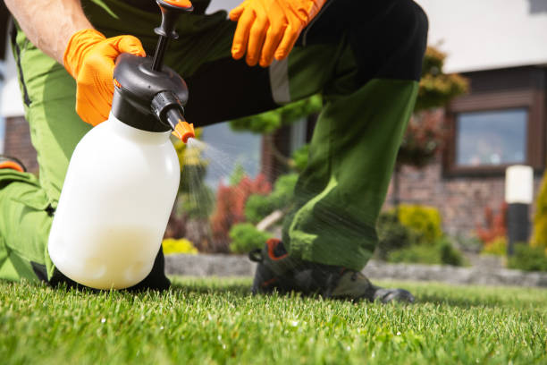 Best Wasp Removal Services  in Cayce, SC