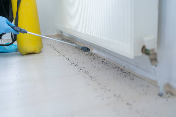 Best Residential Pest Control  in Cayce, SC